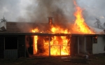 KFD_10.jpg