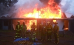 KFD_11.jpg